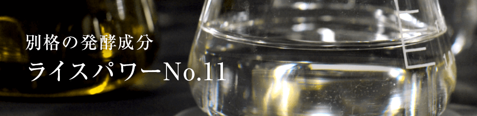 ライスパワー11とは